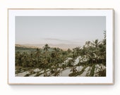 Il_170x135