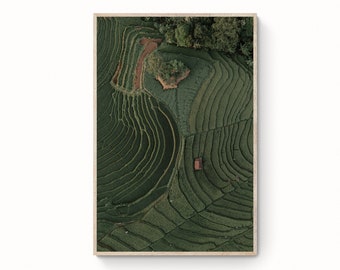 Aerial Rice field Photo Print Nature Wall Art Rice Terrace Fine Art Print Photography Nature Print Digital Download Modern Poster 092