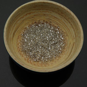 Size 10/0 Silver Lined Clear Czech Glass Seed Beads - 10g
