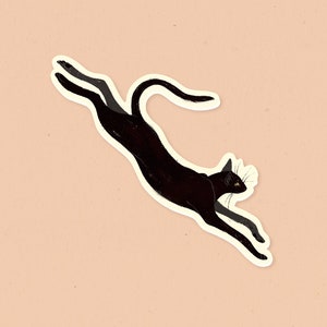 4.5 Jumping Seti Waterproof Vinyl Sticker image 1