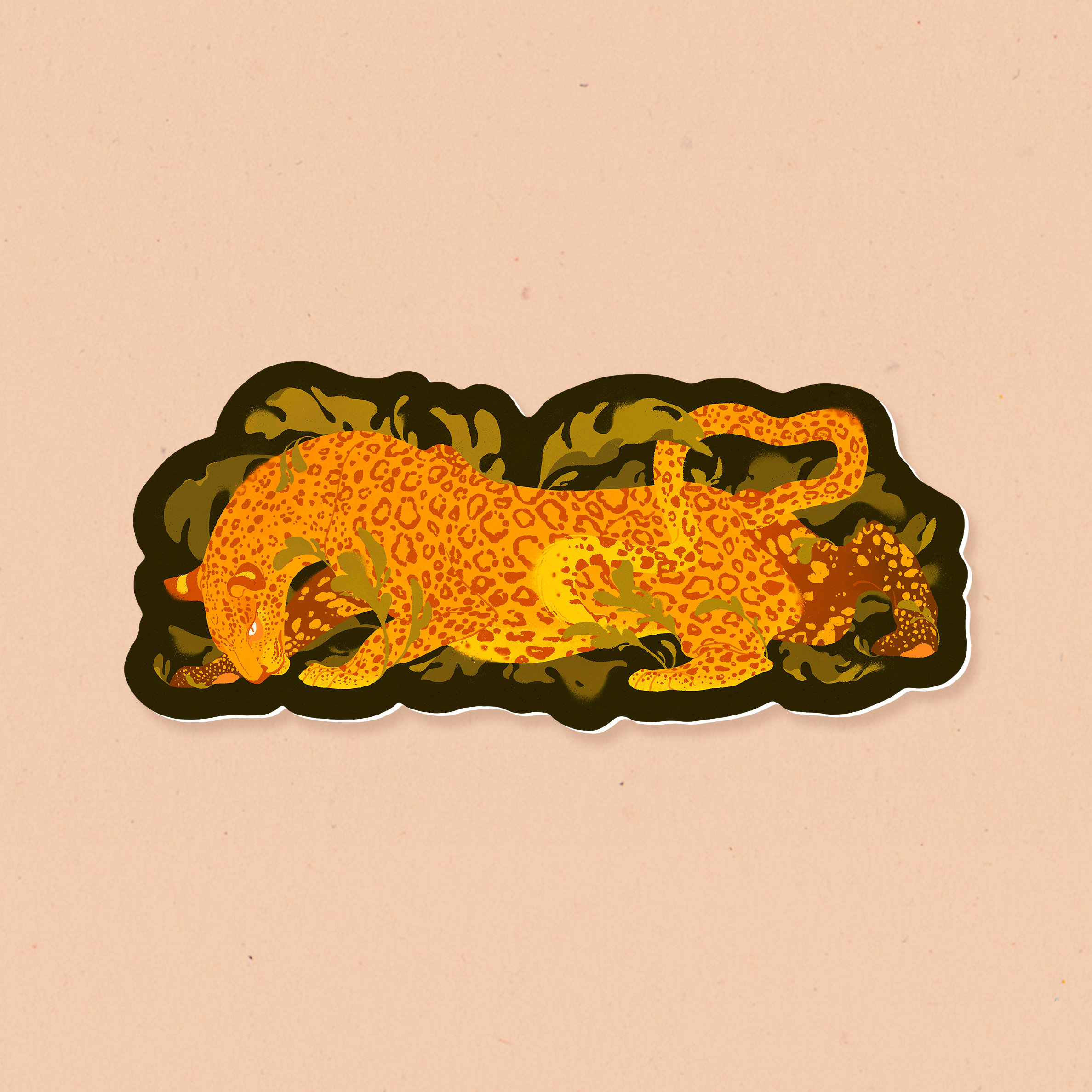 Leopard 3.5