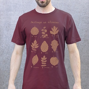 Pode incluir: Uma camiseta vinho com um gráfico de folhas e o texto "Duilleoga na hÉireann" impresso em dourado. O gráfico inclui os nomes das árvores em irlandês.