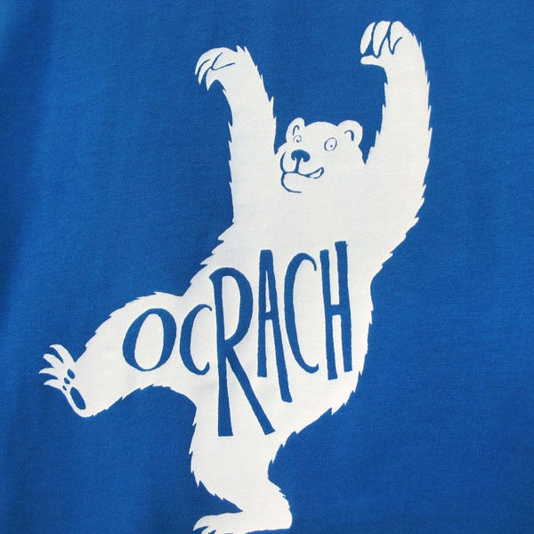 Bear children's t-shirt, 'Ocrach' Irish word for 'Hungry', blue Earth Positive organic cotton handmade