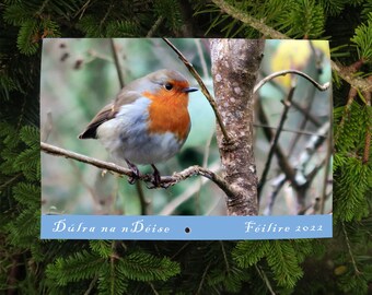 Dulra na nDeise Feilire 2022 - Calendar in Irish - Wildlife of the Deise County Waterford