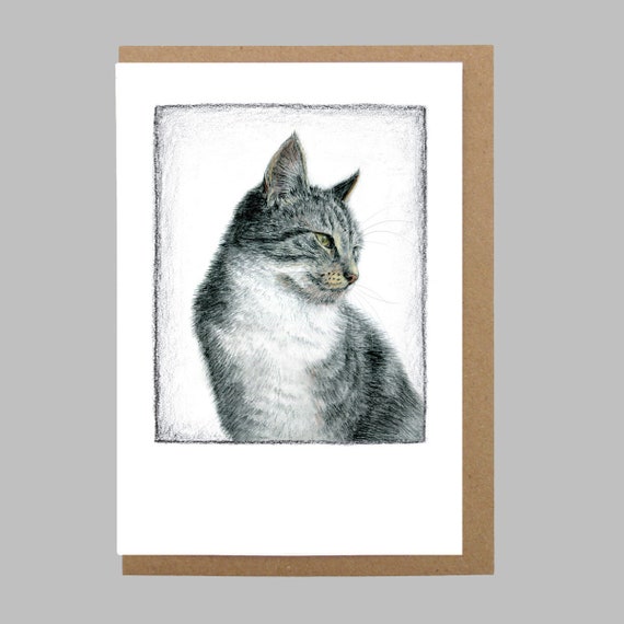 Cat drawing greeting card - Ceoige the cat drawing