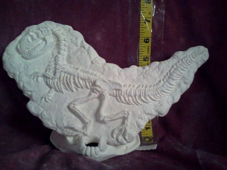 t rex fossil for sale
