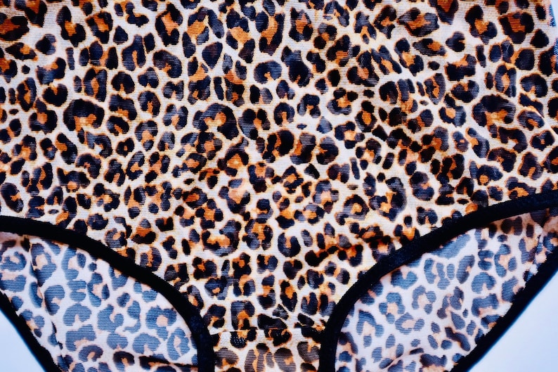 Hipster Panties in Sheer Mesh With Black Trim. Leopard Print Etsy