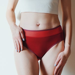 May include: High-waisted, red underwear with a dark red trim and a sheer panel. The model wears a white crop top. The background is a plain white wall. The underwear is a deep shade of red.