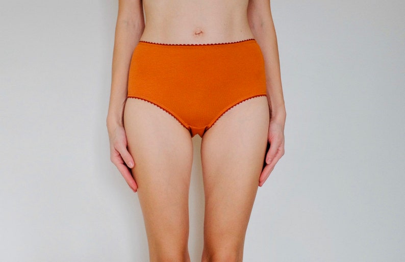 Hipster cotton Panties. Orange Ochre color. Autumn mood. Etsy