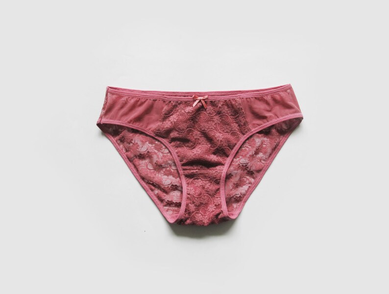 Bikini Style Panties. Lace Bikini Cut Panties. Delicate Lace Etsy UK