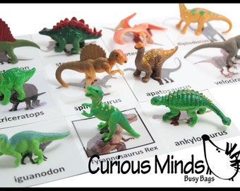 Montessori Dinosaur Object Match - Matching miniature dino figurines to photo card.  Montessori 3 part activity.