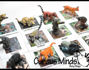Montessori Rain Forest Animal Match - Miniature Animals with Matching Cards - 2 Part Cards.  Montessori learning toy, language materials