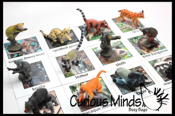 Children Montessori Animal Match Miniature Animals with Matching Cards 