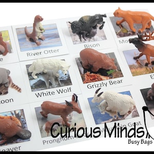 Montessori North American Wildlife Animal Match - Animales en miniatura con tarjetas de emparejamiento - materiales de idioma -
