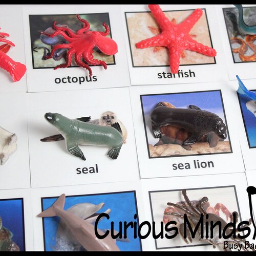Montessori Ocean Animal Match Miniature Animals With - Etsy Montessori Ocean Animal Match Miniature Animals With - Etsy