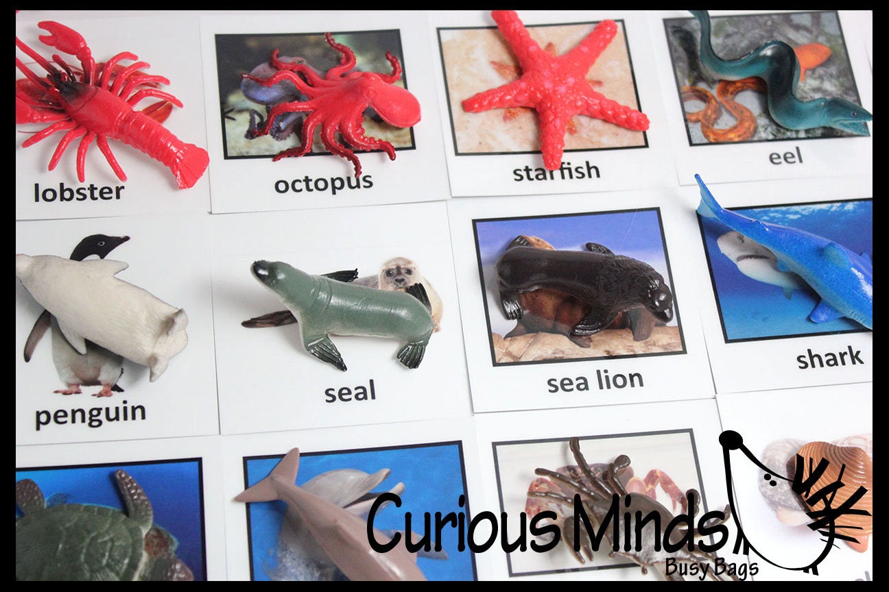 60x Realistic Montessori Animals Toys For Toddlers With Matching Cards 