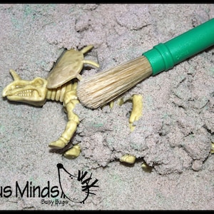 Dinosaur Dig Excavation Sensory Bin Toy - Dino skeleton, fossil Game