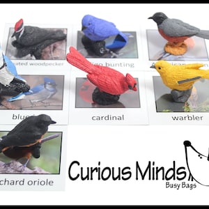 Montessori Vogel Spiel Spiel - Miniatur Tiere mit passenden Karten für Kinder