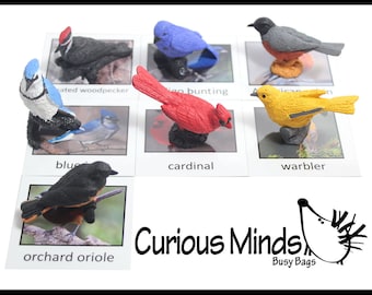 Montessori Bird Animal Match Game - Miniature Animals with Matching Cards for Kids