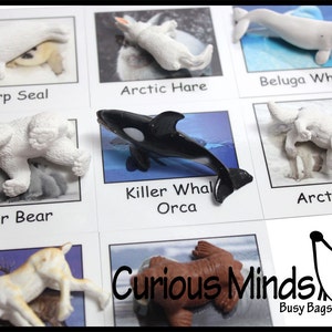 Montessori Arctic Animal Match - Animales en miniatura con cartas a juego - 2 tarjetas de pieza.  Juguete de aprendizaje Montessori, materiales de idiomas
