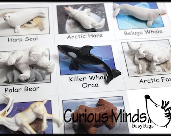 Montessori Arctic Animal Match - Miniature Animals with Matching Cards - 2 Part Cards.  Montessori learning toy, language materials