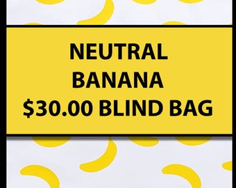 30.00 NEUTRAL (Multiple Styles) - Fidget Blind Bag Mystery Bag - Assorted Random Popular Fidgets - Kids Gift Fun Sensory Toys ADHD Autism