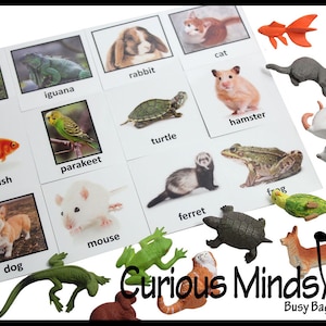 Montessori Pet Animal Match - Miniatuur dieren met bijpassende kaarten - 2 deel kaarten.  Montessori leren speelgoed, taalmateriaal