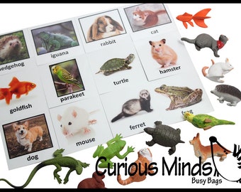 Montessori Pet Animal Match - Miniature Animals with Matching Cards - 2 Part Cards.  Montessori learning toy, language materials