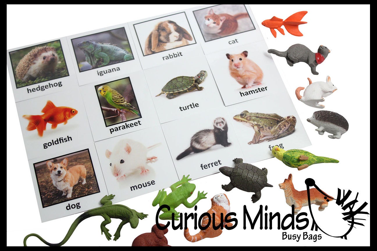 Buy Montessori Pet Animal Match Miniature Animals With Matching Online in India - Etsy Buy Montessori Pet Animal Match Miniature Animals With Matching Online in India - Etsy