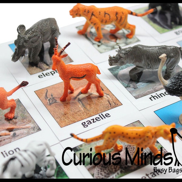 Montessori Safari Animal Match - Miniature Animals with Matching Cards - 2 Part Cards.  Montessori learning toy, language materials