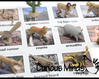 Busy Bag:  Desert Animal Match Educational Game