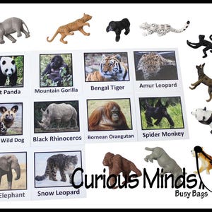 Montessori Endangered Species Animal Match - Miniature Animals with Matching Cards - 2 Part Cards