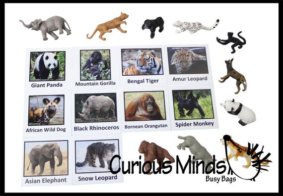 Buy Montessori Endangered Species Animal Match Miniature Animals Online in India - Etsy Buy Montessori Endangered Species Animal Match Miniature Animals Online in India - Etsy