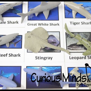 Montessori Shark Animal Match - Miniature Animals with Matching Cards - 2 Part Cards.  Montessori learning toy, language materials