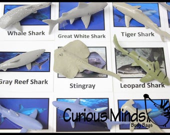 Montessori Shark Animal Match - Miniature Animals with Matching Cards - 2 Part Cards.  Montessori learning toy, language materials