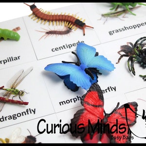 Montessori Insect Animal Match - Miniature Animals with Matching Cards - 2 Part Cards.  Montessori learning toy, language materials