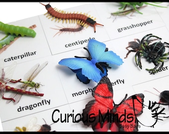 Montessori Insect Animal Match - Miniature Animals with Matching Cards - 2 Part Cards.  Montessori learning toy, language materials