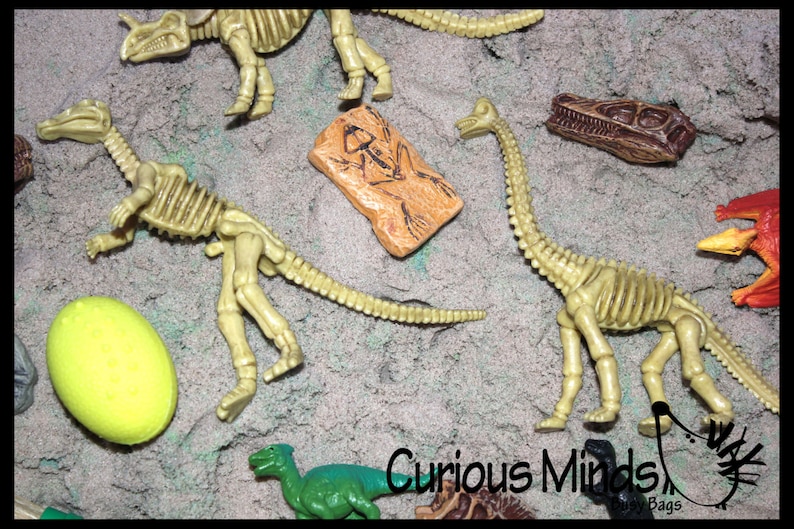Dinosaur Dig Excavation Sensory Bin Toy - Dino Skeleton, Fossil Game - Etsy