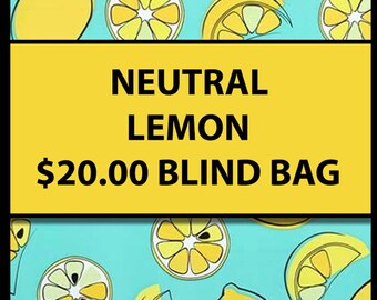 20.00 NEUTRAL (Multiple Styles) - Fidget Blind Bag Mystery Bag - Assorted Random Popular Fidgets - Kids Gift Fun Sensory Toys ADHD Autism