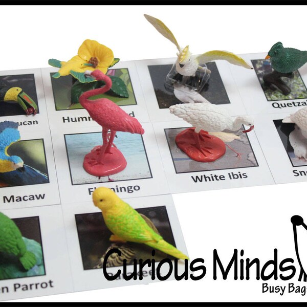 Tropical Exotic Bird Animal Matching Toy - Montessori Educativo