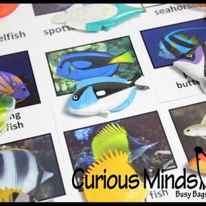Montessori Animal Match - Miniature Tropical Fish with Matching Cards - 2 Part Cards.  Montessori learning toy, language materials