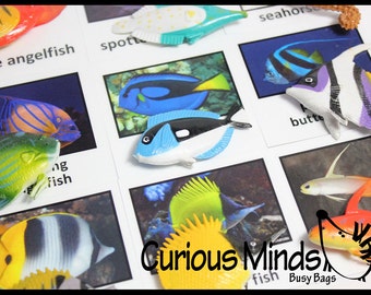 Montessori Animal Match - Miniature Tropical Fish with Matching Cards - 2 Part Cards.  Montessori learning toy, language materials