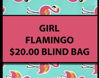 20.00 GIRL THEMED (Multiple Styles) - Fidget Blind Bag Mystery Bag -Assorted Random Popular Fidgets - Kids Gift Fun Sensory Toys ADHD Autism