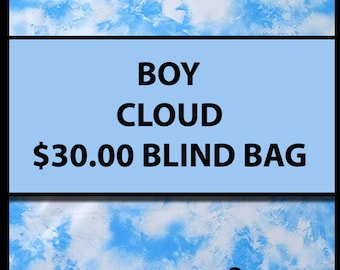 30.00 BOY THEMED (Multiple Styles) - Fidget Blind Bag Mystery Bag - Assorted Random Popular Fidgets - Kids Gift Fun Sensory Toys ADHD Autism