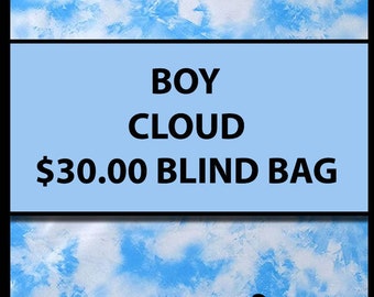 30.00 BOY THEMED (Multiple Styles) - Fidget Blind Bag Mystery Bag - Assorted Random Popular Fidgets - Kids Gift Fun Sensory Toys ADHD Autism