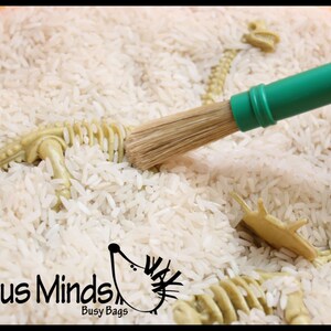 Dinosaur Dig Excavation Sensory Bin Toy - Dino Skeleton, Fossil Game - Etsy