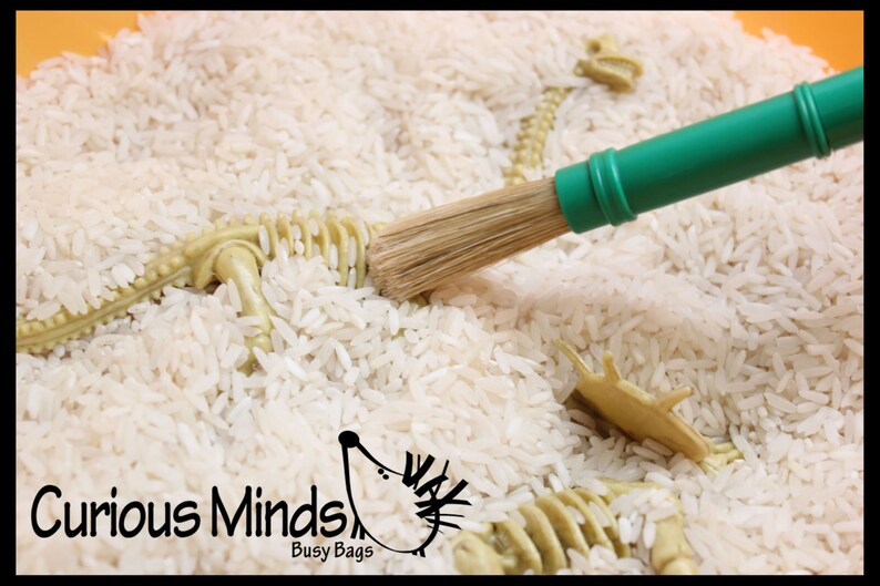 Dinosaur Dig Excavation Sensory Bin Toy - Dino Skeleton, Fossil Game - Etsy