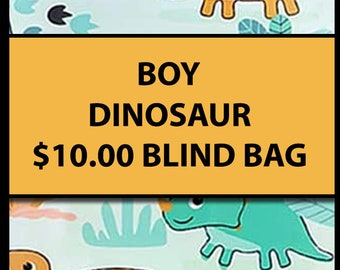 10.00 BOY THEMED (Multiple Styles) - Fidget Blind Bag Mystery Bag - Assorted Random Popular Fidgets - Kids Gift Fun Sensory Toys ADHD Autism