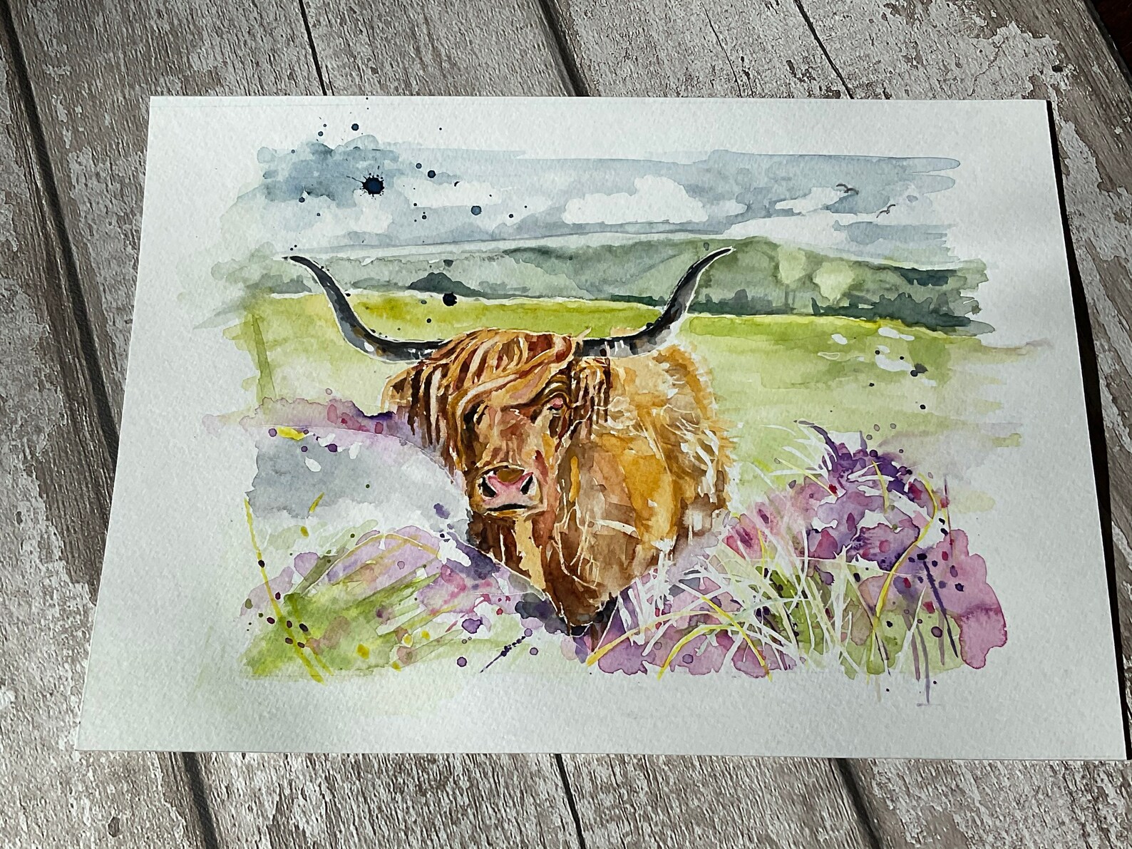 Original Art Highland Cow Watercolour Including Frame Gift Etsy