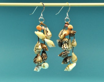 Tiger Nassa and Mixed Shell Earrings